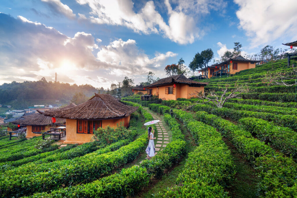 International healthcare is a journey—and Kerala is part of the destination experience.